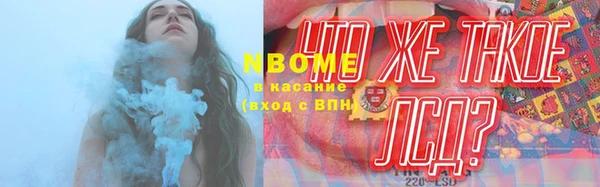твердый Надым