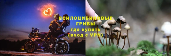 ПСИЛОЦИБИНОВЫЕ ГРИБЫ Гусиноозёрск