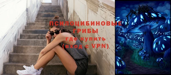 твердый Надым