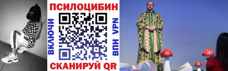 сколько стоит Николаевск-на-Амуре Псилоцибиновые грибы GOLDEN TEACHER